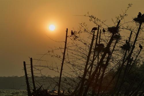 20250214india90