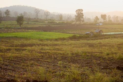 20250215india11